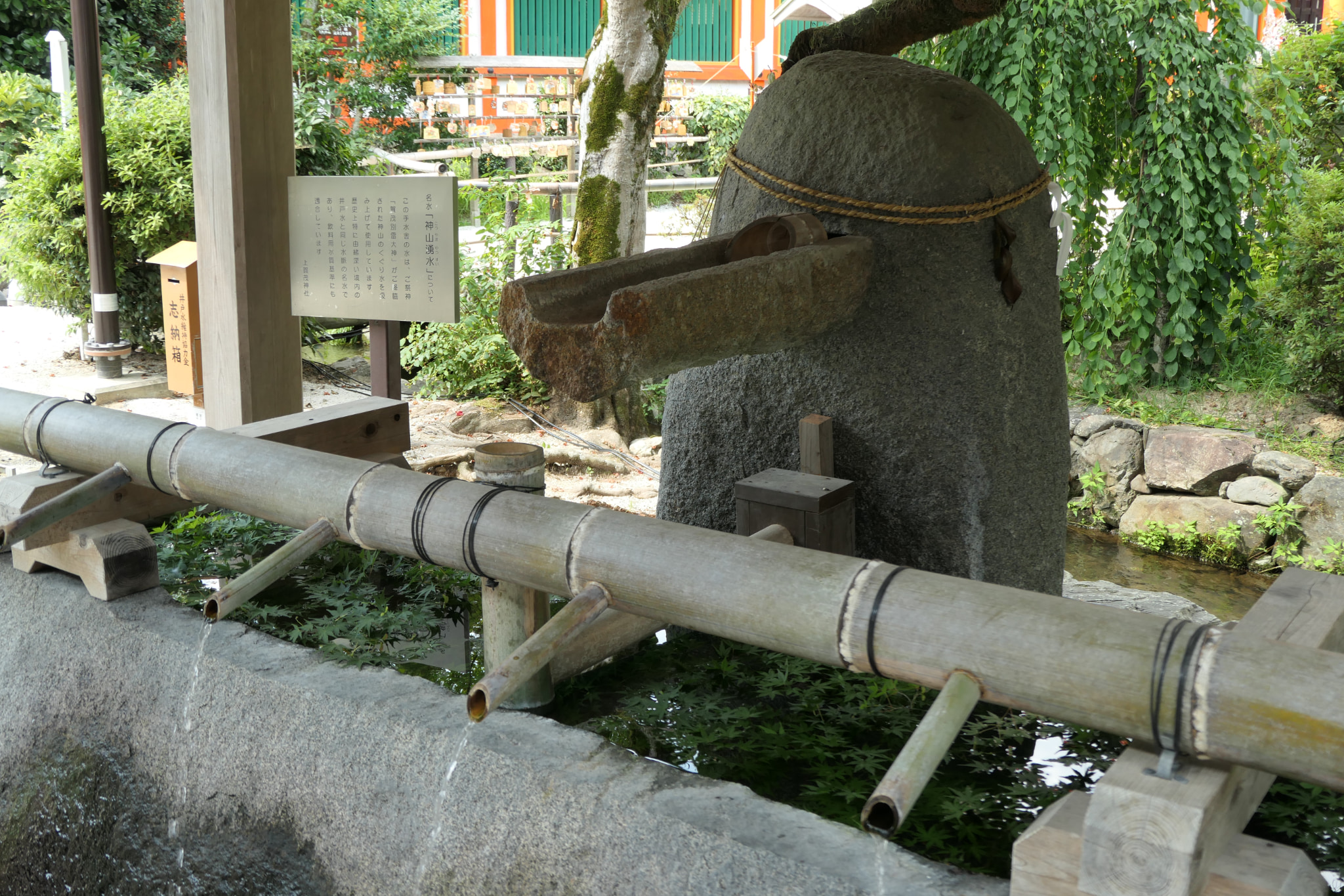 京都には自然の給水スポットがある!?